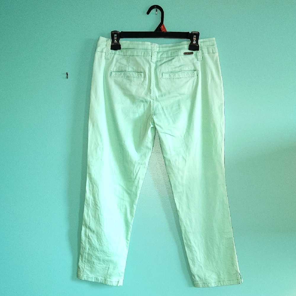 EUC BKE Seafoam Green Peyton Women's Straight Leg Ankle Chinos Sz 29 - Picture 5 of 9